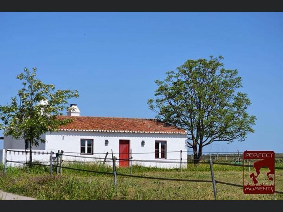 Monte Da Boavista - Country Family House Villa Alter do Chão Exterior photo