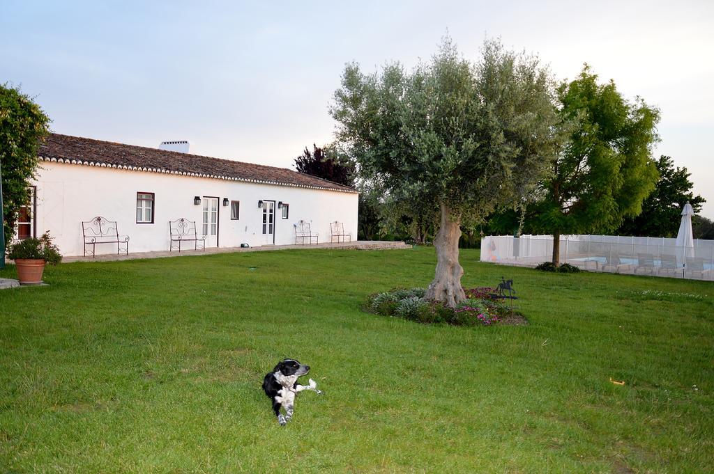 Monte Da Boavista - Country Family House Villa Alter do Chão Exterior photo